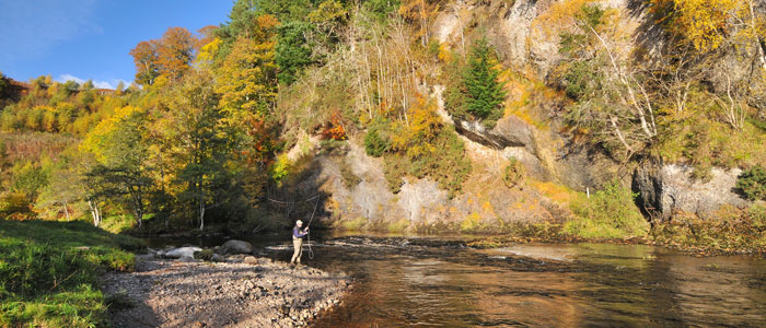 beat 4, novar fishings, river alness