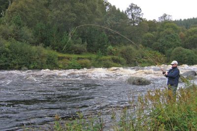 novar fishings, river alness, salmon fishing tips, very high water beat 2