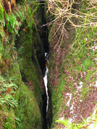 loch glass