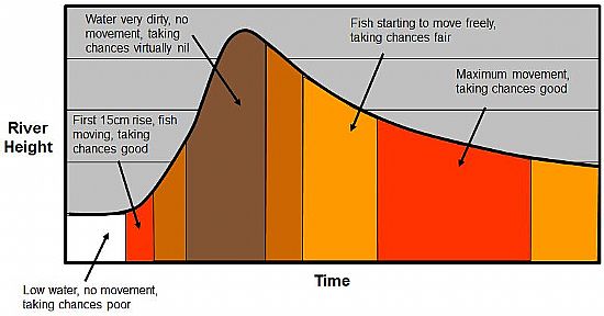 novar fishings, river alness, salmon fishing tips, spate taking times